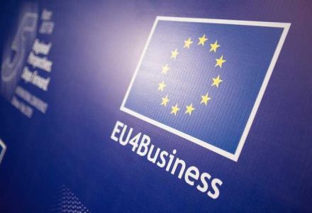 EU4Business