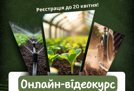 Instagram, копія