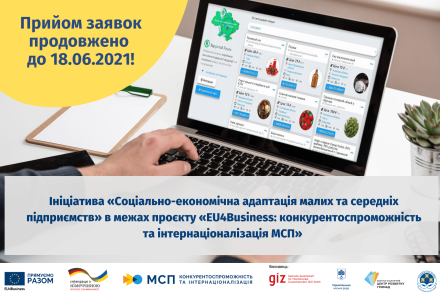 Проєкт Економічна адаптація малих та середніх підприємств (15)