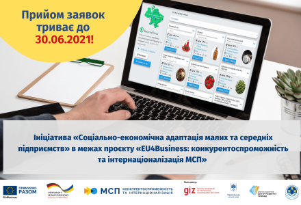 Проєкт Економічна адаптація малих та середніх підприємств (16)